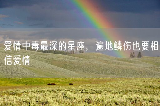 爱情中毒最深的星座，遍地鳞伤也要相信爱情(图1)