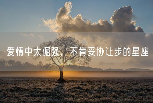 爱情中太倔强，不肯妥协让步的星座(图1)