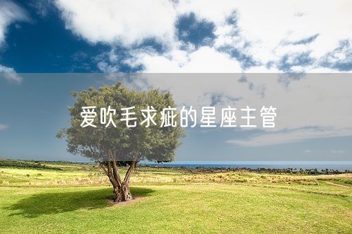 爱吹毛求疵的星座主管(图1)