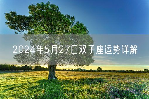 2024年5月27日双子座运势详解(图1)