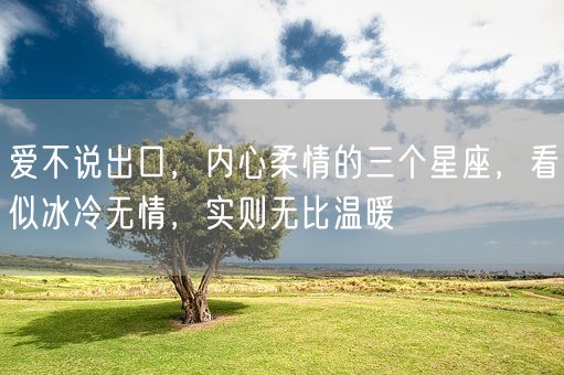 爱不说出口，内心柔情的三个星座，看似冰冷无情，实则无比温暖(图1)