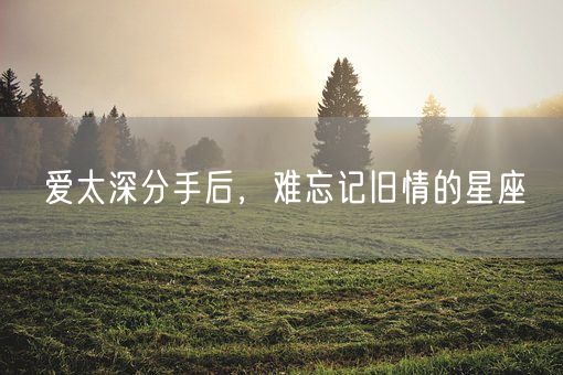 爱太深分手后，难忘记旧情的星座(图1)