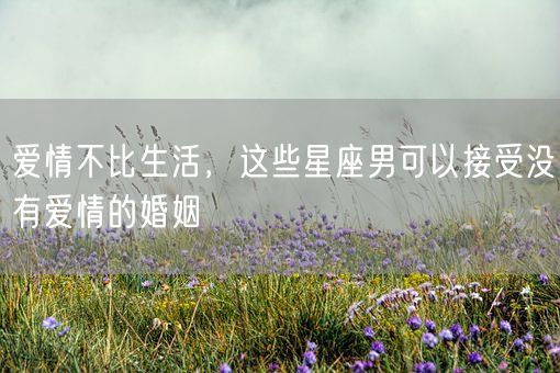 爱情不比生活，这些星座男可以接受没有爱情的婚姻(图1)
