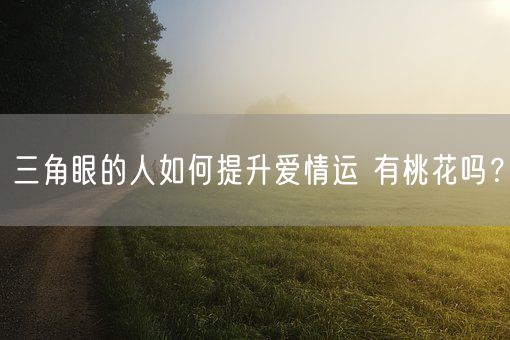 三角眼的人如何提升爱情运 有桃花吗？(图1)