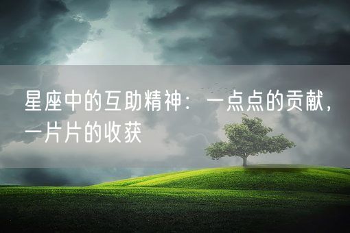 星座中的互助精神：一点点的贡献，一片片的收获(图1)