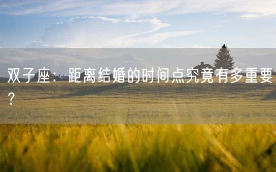 双子座：距离结婚的时间点究竟有多重要？(图1)