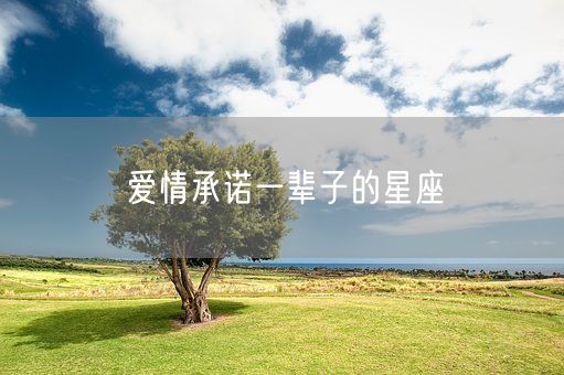 爱情承诺一辈子的星座(图1)