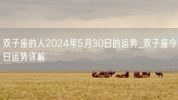 双子座的人2024年5月30日的运势_双子座今日运势详解(图1)