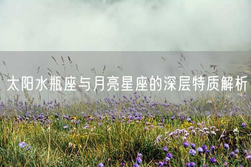 太阳水瓶座与月亮星座的深层特质解析(图1)