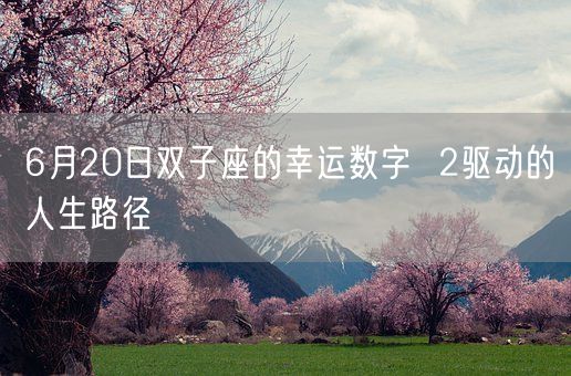 6月20日双子座的幸运数字  2驱动的人生路径(图1)