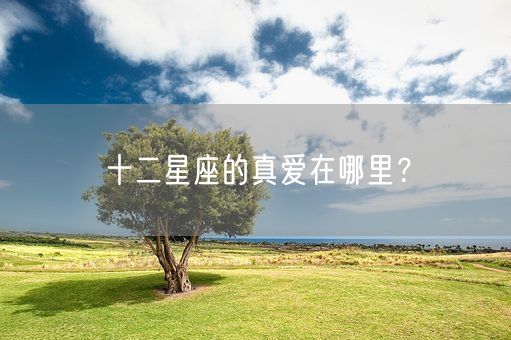 十二星座的真爱在哪里？(图1)