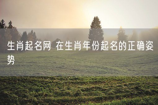 生肖起名网 在生肖年份起名的正确姿势(图1)
