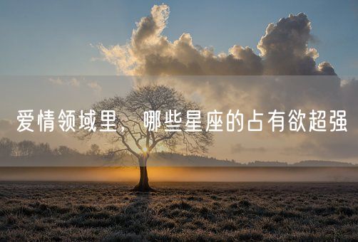 爱情领域里，哪些星座的占有欲超强(图1)