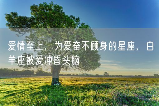 爱情至上，为爱奋不顾身的星座，白羊座被爱冲昏头脑(图1)