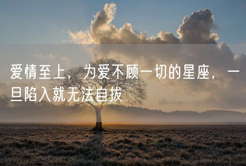 爱情至上，为爱不顾一切的星座，一旦陷入就无法自拔(图1)