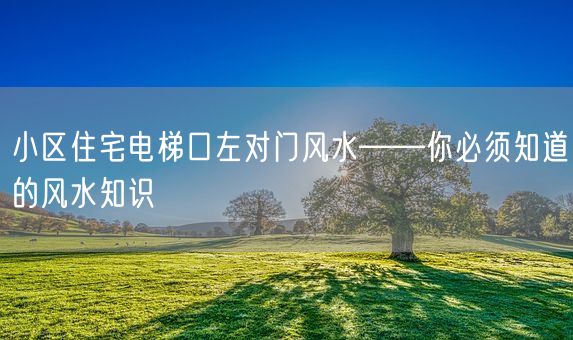 小区住宅电梯口左对门风水——你必须知道的风水知识(图1)