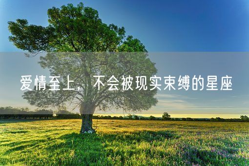 爱情至上，不会被现实束缚的星座(图1)