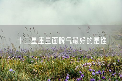 十二星座里面脾气最好的是谁(图1)