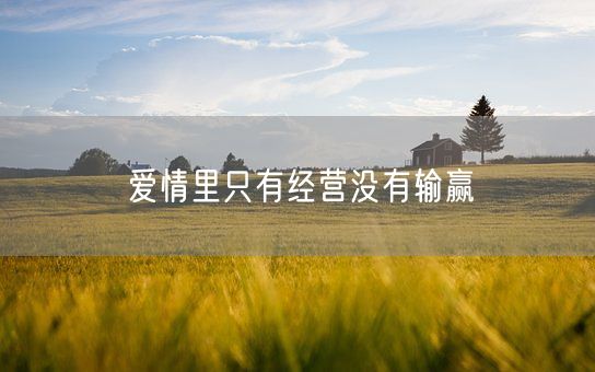 爱情里只有经营没有输赢(图1)