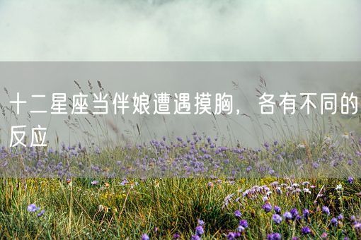 十二星座当伴娘遭遇摸胸，各有不同的反应(图1)