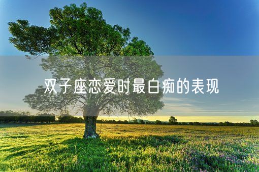 双子座恋爱时最白痴的表现(图1)