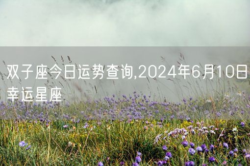 双子座今日运势查询,2024年6月10日幸运星座(图1)