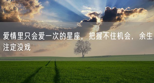 爱情里只会爱一次的星座，把握不住机会，余生注定没戏(图1)