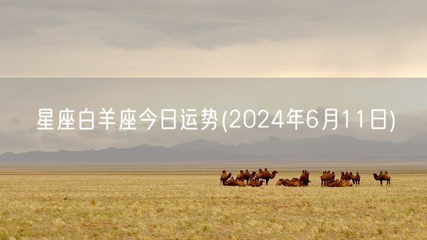 星座白羊座今日运势(2024年6月11日) (图1)