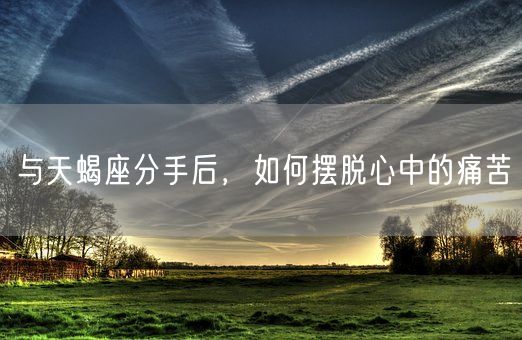 与天蝎座分手后，如何摆脱心中的痛苦(图1)