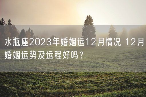 水瓶座2023年婚姻运12月情况 12月婚姻运势及运程好吗？(图1)