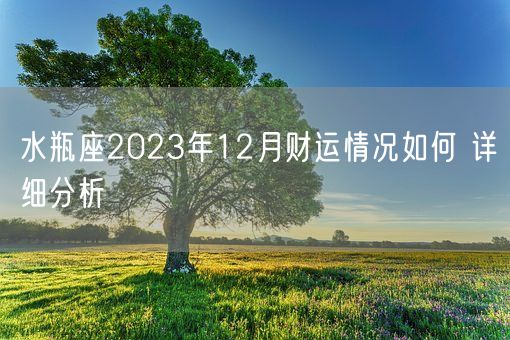 水瓶座2023年12月财运情况如何 详细分析(图1)