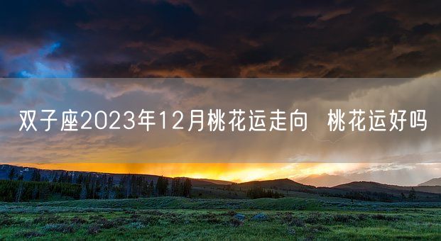 双子座2023年12月桃花运走向  桃花运好吗(图1)