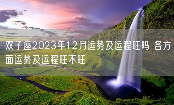 双子座2023年12月运势及运程旺吗 各方面运势及运程旺不旺(图1)