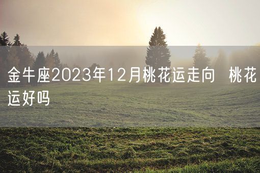 金牛座2023年12月桃花运走向  桃花运好吗(图1)