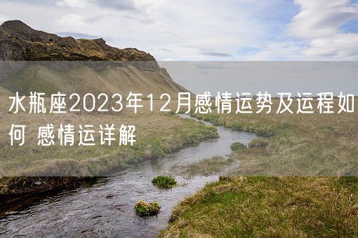 水瓶座2023年12月感情运势及运程如何 感情运详解(图1)