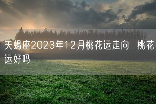 天蝎座2023年12月桃花运走向  桃花运好吗(图1)