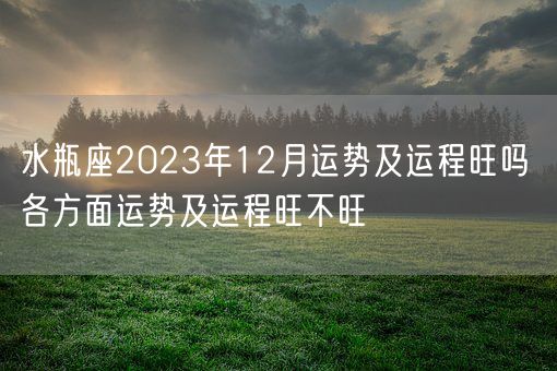 水瓶座2023年12月运势及运程旺吗 各方面运势及运程旺不旺(图1)