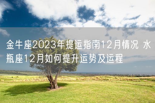 金牛座2023年提运指南12月情况 水瓶座12月如何提升运势及运程(图1)