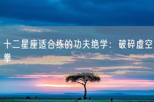 十二星座适合练的功夫绝学：破碎虚空拳(图1)