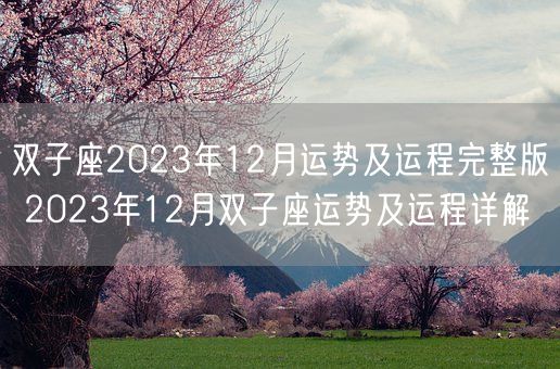 双子座2023年12月运势及运程完整版 2023年12月双子座运势及运程详解(图1)