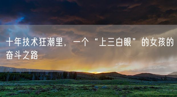 十年技术狂潮里，一个“上三白眼”的女孩的奋斗之路(图1)