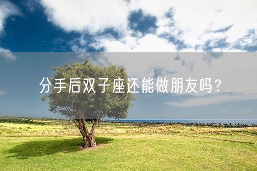 分手后双子座还能做朋友吗？(图1)