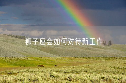 狮子座会如何对待新工作(图1)