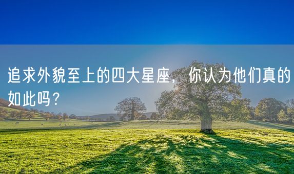 追求外貌至上的四大星座，你认为他们真的如此吗？(图1)