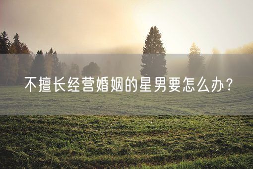 不擅长经营婚姻的星男要怎么办？(图1)