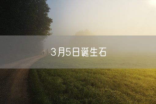 3月5日诞生石(图1)