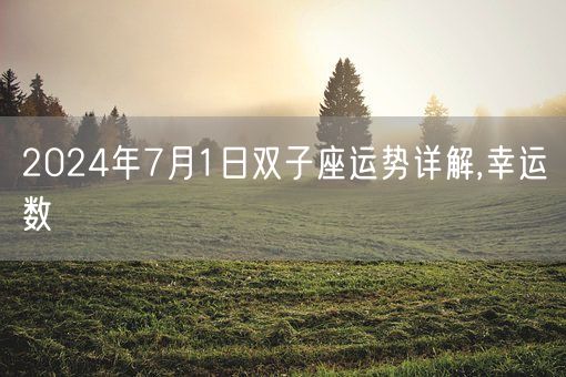 2024年7月1日双子座运势详解,幸运数(图1)