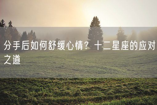 分手后如何舒缓心情？十二星座的应对之道(图1)