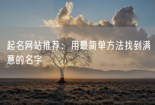 起名网站推荐：用最简单方法找到满意的名字(图1)