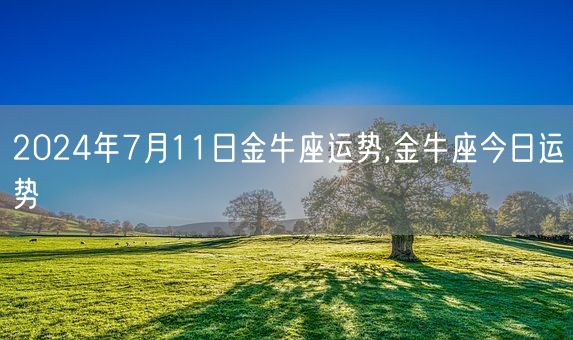 2024年7月11日金牛座运势,金牛座今日运势(图1)